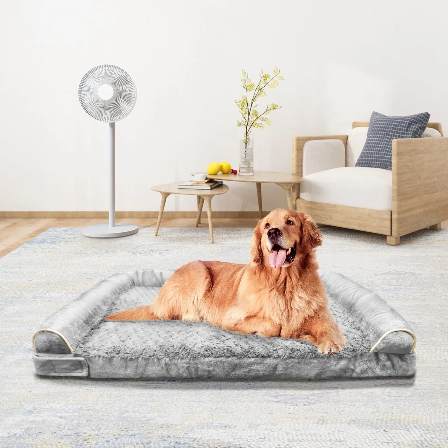 Indoor dog bed