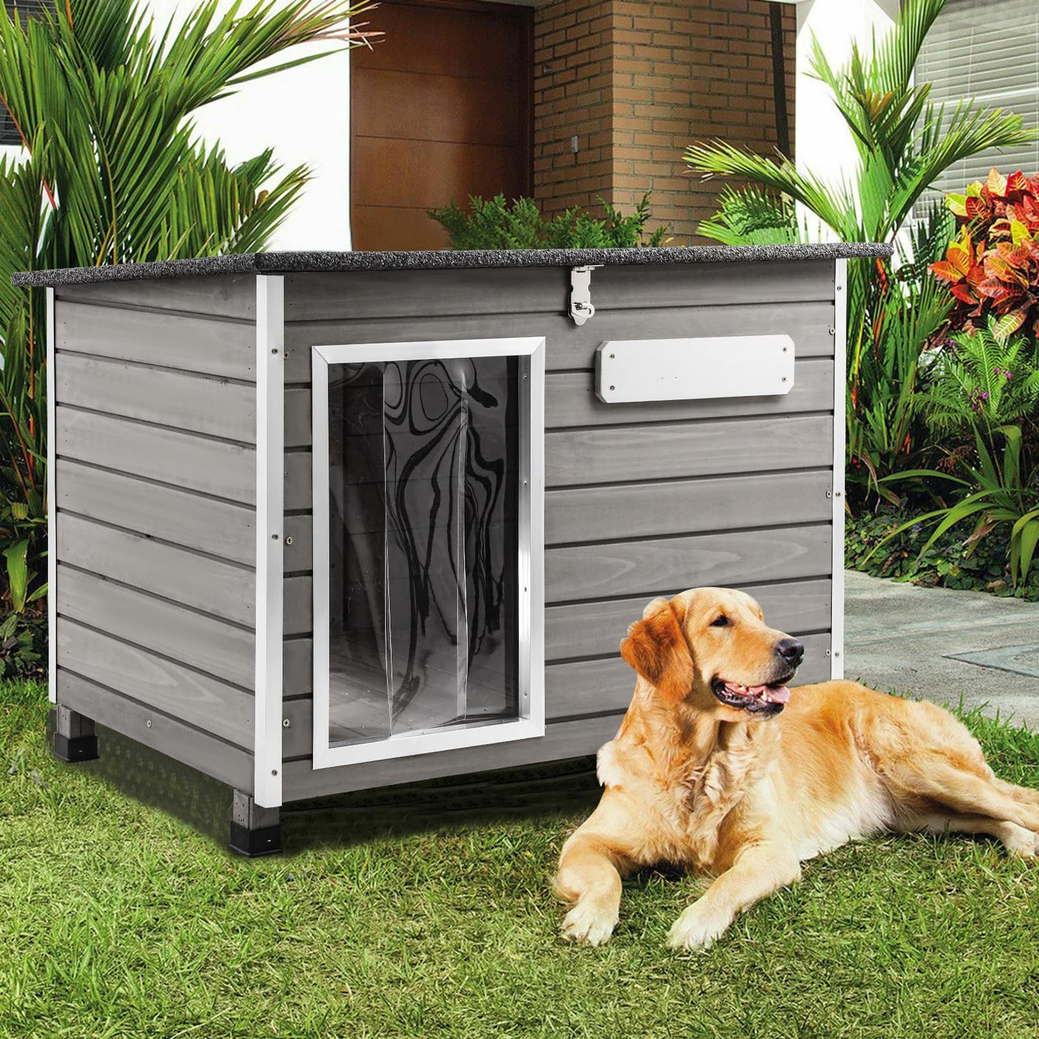 Outdoor Dog House