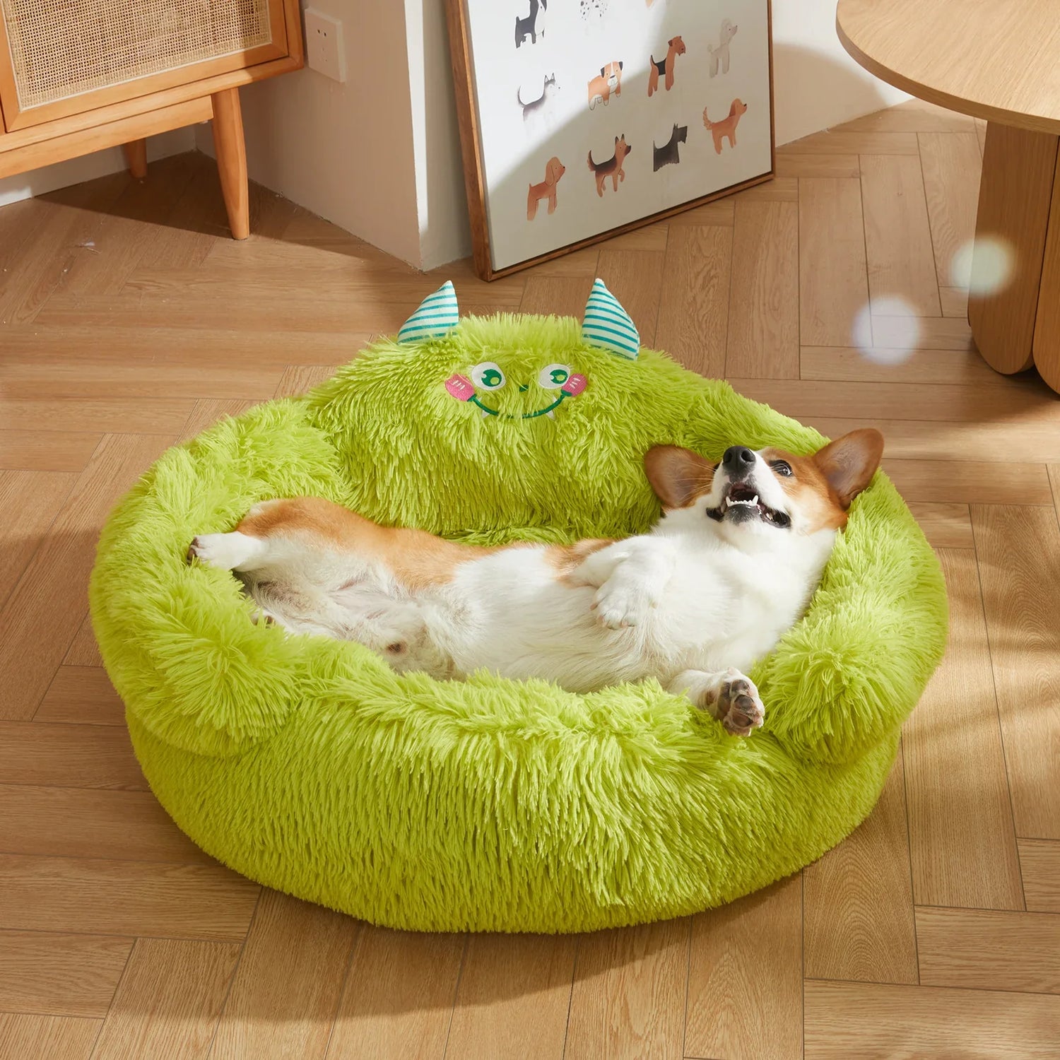 pet beds